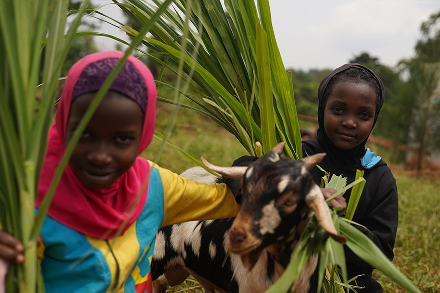 Sürdürülebilirlik
